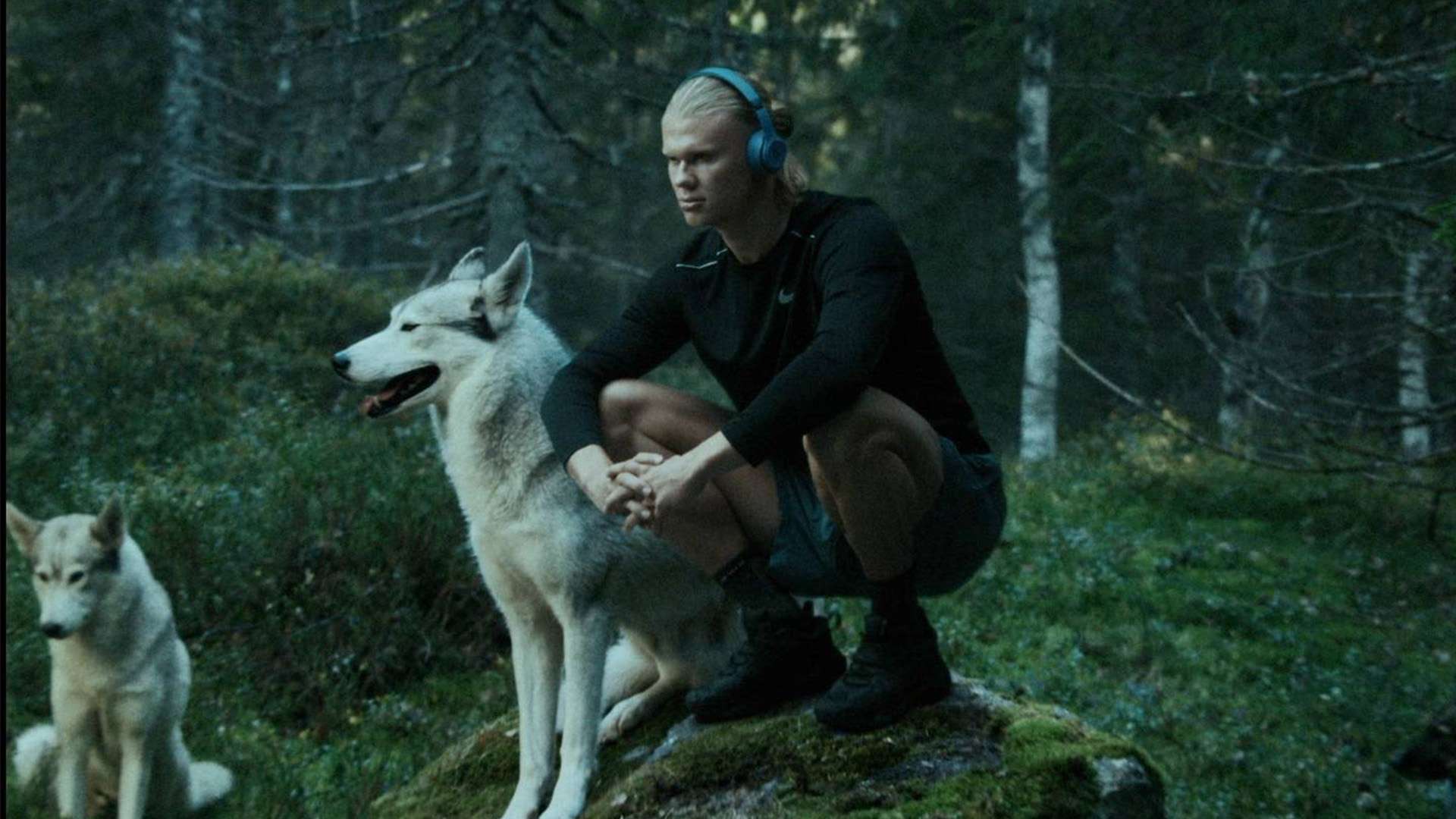 不仅在信息 不仅在信息